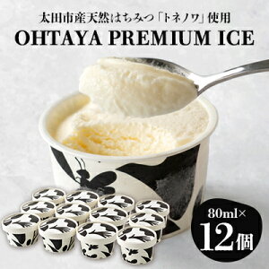 【ふるさと納税】「OHTAYA PREMIUM ICE」12個セット【配送不可地域:離島】【1648710】
