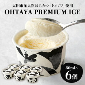 【ふるさと納税】「OHTAYA PREMIUM ICE」6個セット【配送不可地域：離島】【1648712】