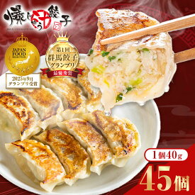 【ふるさと納税】爆じゅう餃子　45個入り【配送不可地域：離島】【1209776】