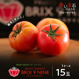 【ふるさと納税】【令和8年3月発送開始】糖度9度以上!赤い宝石のようなフルーツトマト　ブリックスナイントマト1ケース_ トマト フルーツトマト 高糖度 美味しい 人気 新鮮 【配送不可地域：離島】【1210032】
