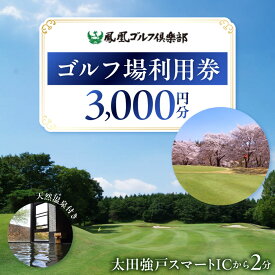 【ふるさと納税】【天然温泉付き】ゴルフ場利用券 3,000円分(1,000円分×3枚)鳳凰ゴルフ倶楽部【1411278】