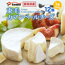 【ふるさと納税】群馬県太田市　東毛カマンベールチーズ12個セット_ チーズ カマンベールチーズ 乳製品 人気 おすすめ 送料無料 ギフト 贈答 プレゼント 冷蔵 東毛酪農 群馬県 セット 国産生乳 【配送不可地域：離島】【1296686】