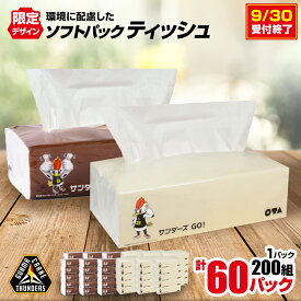 【ふるさと納税】群馬クレインサンダーズ応援ソフトパックティッシュ 400枚(200組)×60パック　9/30受付終了_ ティッシュ ペーパー まとめ買い 消耗品 日用品 群馬県 太田市 送料無料 【配送不可地域：離島・沖縄県】【1422589】