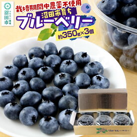 【ふるさと納税】《7月中旬〜8月中旬発送》栽培期間中農薬不使用 ブルーベリー 約350g×3個 ベリーガーデン