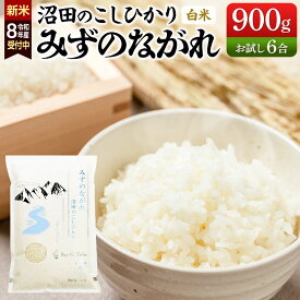 【ふるさと納税】《令和8年産 新米予約》沼田のこしひかり「みずのながれ」お試し六合 900g 群馬県沼田市産 精米 白米 コシヒカリ [こしひかり コシヒカリ みずのながれ 白米 精米 新米 先行予約]
