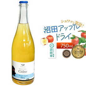 【ふるさと納税】《SISGA部門最高賞ほか受賞》沼田アップルドライ（辛口）750ml×1本 Fukiware Cidrerie