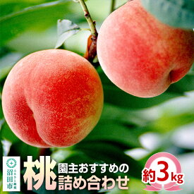 【ふるさと納税】《7月上旬〜7月下旬にお届け》 園主おすすめの桃 約3kg 詰め合わせ 早生品種 ご自宅用 フルーツ王国松井 [夏の味覚 夏の果物 夏のフルーツ 桃 もも モモ momo 旬物 ぴーち ピーチ peach お任せ おまかせ セット]