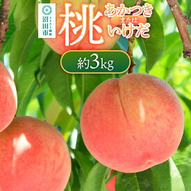 【ふるさと納税】《7月下旬〜8月中旬にお届け》 桃「あかつき」または「いけだ」約3kg フルーツ王国松井 [夏の味覚 夏の果物 夏のフルーツ 桃 もも モモ momo 旬物 ぴーち ピーチ peach お任せ おまかせ セット]