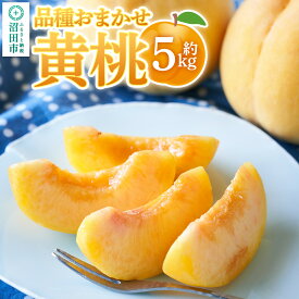 【ふるさと納税】《8月下旬〜9月上旬にお届け》 品種おまかせ黄桃 約5kg フルーツ王国松井 [夏の味覚 夏の果物 夏のフルーツ 桃 もも モモ momo 旬物 ぴーち ピーチ peach お任せ おまかせ セット]