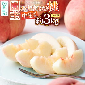 【ふるさと納税】桃 園主おすすめの桃 中生（なかて）品種 約3kg 詰め合わせ ご自宅用 フルーツ王国松井 [もも フルーツ くだもの 果物]