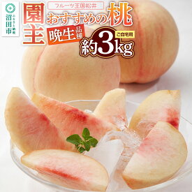【ふるさと納税】果物 園主おすすめの桃 晩生（おくて）品種 約3kg 詰め合わせ ご自宅用 フルーツ王国松井 [もも フルーツ くだもの 果物]