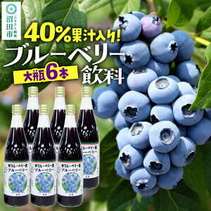 yӂ邳Ɣ[Łz40ʏ` u[x[ 720ml×6{Zbg
