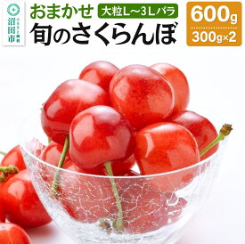 【ふるさと納税】《関東限定発送》《2024年6月中旬以降発送》おまかせ 旬のさくらんぼ 大粒L～3Lバラ詰め 600g（300g×2）