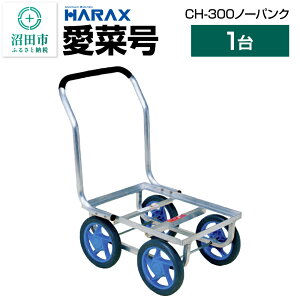 yӂ邳Ɣ[ŁznbNX HARAX ؍ CH-300 21.8×3.4cmm[pN^C ύږ520×380