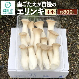【ふるさと納税】歯ごたえが自慢のエリンギ 中小 約800g