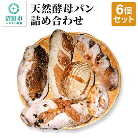 【ふるさと納税】天然酵母パン6個詰め合わせ