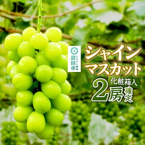 yӂ邳Ɣ[Łzs9{ȍ~ts\ ʎ̗ c_ VC}XJbg 2[i1.4kg`1.6kgjϔ