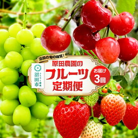 【ふるさと納税】《一部地域限定配送》3回お届け！原田農園のフルーツ定期便 いちご→さくらんぼ→シャインマスカット