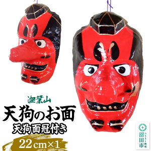 yӂ邳Ɣ[ŁzޗtR Vʊt 22cm Qnӂ邳Ɠ`H| V̂