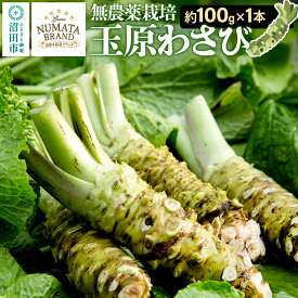 【ふるさと納税】ぬまたブランド農産物 玉原わさび 生ワサビ 1本 宮田農園