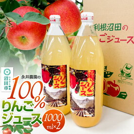 【ふるさと納税】100％リンゴジュース 1000ml×2本 永井農園