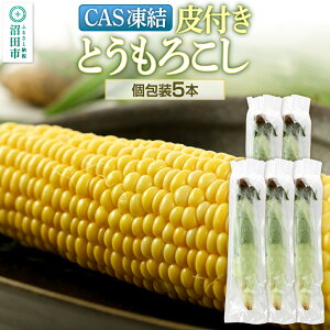 yӂ邳Ɣ[ŁzCAS cY t Ƃ낱 5{ Џc؎sꒇ