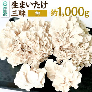 yӂ邳Ɣ[Łz܂Oij1000g ݕ