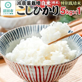 【ふるさと納税】令和7年産 沼田市産 特別栽培米こしひかり 白米 5kg 奥利根自然菜園
