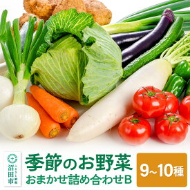 【ふるさと納税】《5月上旬〜11月下旬発送》季節のお野菜 おまかせセット B（9〜10種類）詰め合わせ