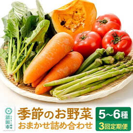 【ふるさと納税】《5月上旬〜11月下旬発送》季節のお野菜 おまかせセット 季節ごとの3回お届け 定期便（1回あたり5〜6種類）詰め合わせ