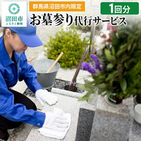 【ふるさと納税】《群馬県沼田市内限定》お墓参り代行サービス