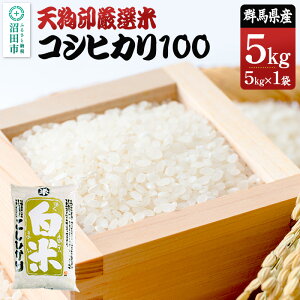 【ふるさと納税】令和7年産 天狗印厳選米「コシヒカリ100」5kg 精米 白米 こしひかり