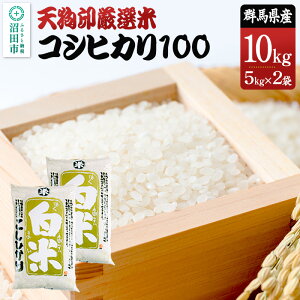 【ふるさと納税】令和7年産 天狗印厳選米「コシヒカリ100」10kg 精米 白米 こしひかり