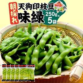 【ふるさと納税】厳選 天狗印枝豆「味緑（みりょく）」約1.25kg [枝豆 えだまめ エダマメ 茶豆 えだ豆 エダ豆]