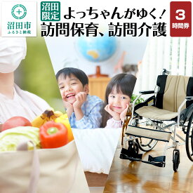 【ふるさと納税】《群馬県沼田市内限定》よっちゃんがゆく！訪問保育、訪問介護 3時間利用券