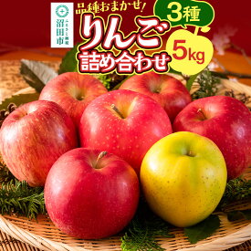 【ふるさと納税】《10月中旬〜11月下旬発送》品種おまかせ りんご詰め合わせ 3種 5kg 真田りんご園