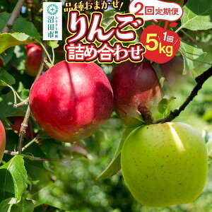 【ふるさと納税】《11月上旬・11月下旬発送》定期便 品種おまかせ りんご詰め合わせ 1種5kg×2回 真田りんご園
