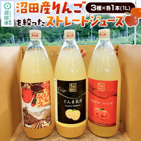 【ふるさと納税】沼田産りんごを搾ったストレートリンゴジュース 3種×各1本 計3本セット 真田りんご園