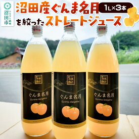 【ふるさと納税】沼田産ぐんま名月だけを搾ったストレートリンゴジュース 3本セット 真田りんご園