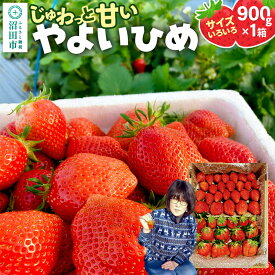 【ふるさと納税】《2026年1月上旬〜2月上旬発送》じゅわっと甘い！サイズいろいろ「やよいひめ」約900g（1箱／梱包込）山口いちご園 苺 イチゴ いちご