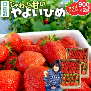 �y�ӂ邳�Ɣ[�Łz�s2026�N1����{�`2����{�����t�������ƊÂ��I�T�C�Y���낢��u��悢�Ђ߁v��1800g�i��900g×2���^����j�R���������� � �C�`�S ������