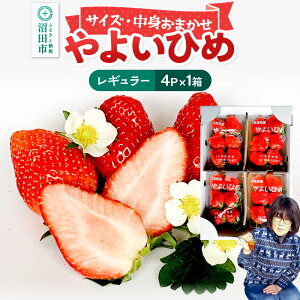 yӂ邳Ɣ[Łzs2026N1{`2{tg܂u悢Ђ߁vM[pbN 250g 4pbN×1 R  C`S 