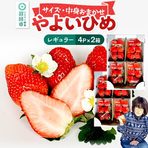 �y�ӂ邳�Ɣ[�Łz�s2026�N1����{�`2����{�����t���g���܂����u��悢�Ђ߁v���M�����[�p�b�N 250g 4�p�b�N×2�� �R���������� � �C�`�S ������