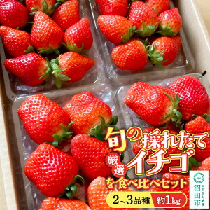 �y�ӂ邳�Ɣ[�Łz�s2026�N1����{�`2����{�����t�{�̍̂ꂽ�Č��I�C�`�S��H�ה�ׁI�s2�`3�i��t��1kg �l�ߍ��킹�Z�b�g�i�T�C�Y�E�i�킨�܂����j