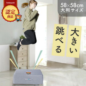 yӂ邳Ɣ[Łzۂ񂿂 g|NbV (CgO[) 58cm×58cm  py1568238z