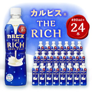 yӂ邳Ɣ[ŁzwJsX THE RICHxPET490ml@24{y1335977z