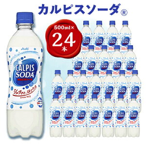 yӂ邳Ɣ[ŁzwJsX\[_xPET500ml@24{y1335992z