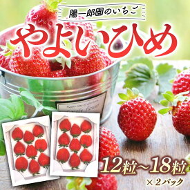 【ふるさと納税】陽一郎園の大粒いちごW（ダブル） いちご イチゴ 苺 フルーツ 果物 F4H-0031