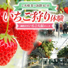 【ふるさと納税】いちご狩り体験 2名様 食べ放題40分 練乳付き いちご大福コース 【現地体験型】 利用券 チケット 観光 旅行 イチゴ 苺 F4H-0032
