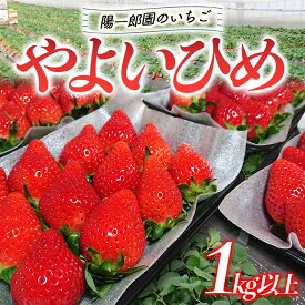 【ふるさと納税】陽一郎園のいちご「やよいひめ」 1kg 以上 いちご イチゴ 苺 期間限定 フルーツ 果物 ふるさと 故郷 納税 群馬 渋川市 F4H-0036